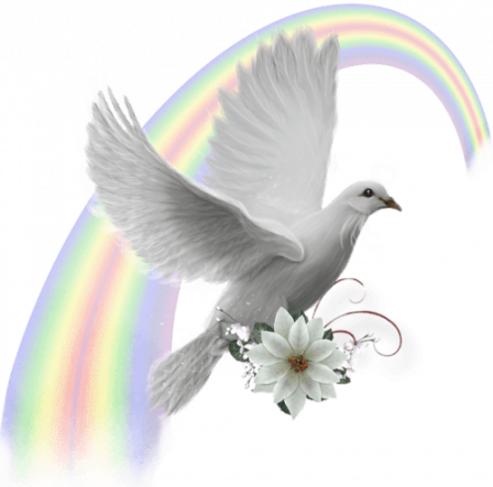 colombe-fleur_931444490